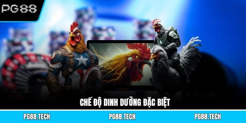 Chế độ dinh dưỡng đặc biệt